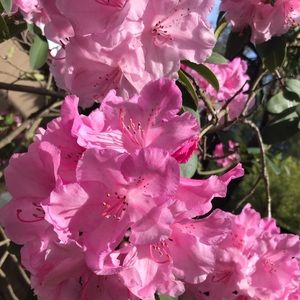 BUNDLE 4 DISCOUNTS, MAKE OFFERS 2 NEGOTIATE PRICES